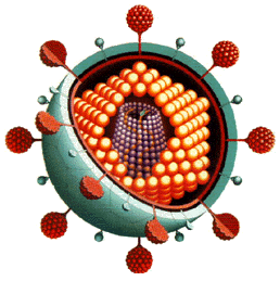 Griepvirus